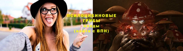 спиды Мегион