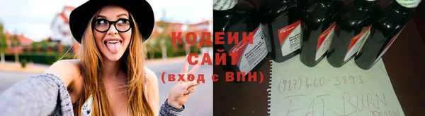спиды Мегион