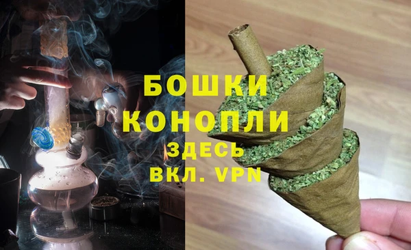 трава Медвежьегорск