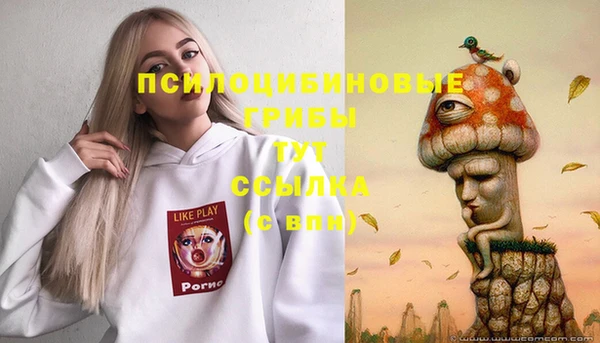 синтетический гашиш Киренск