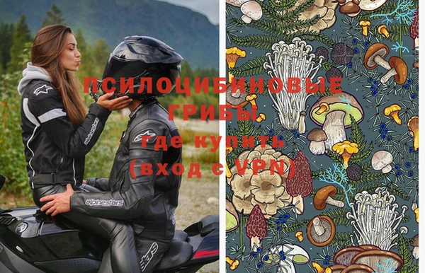 спиды Медногорск