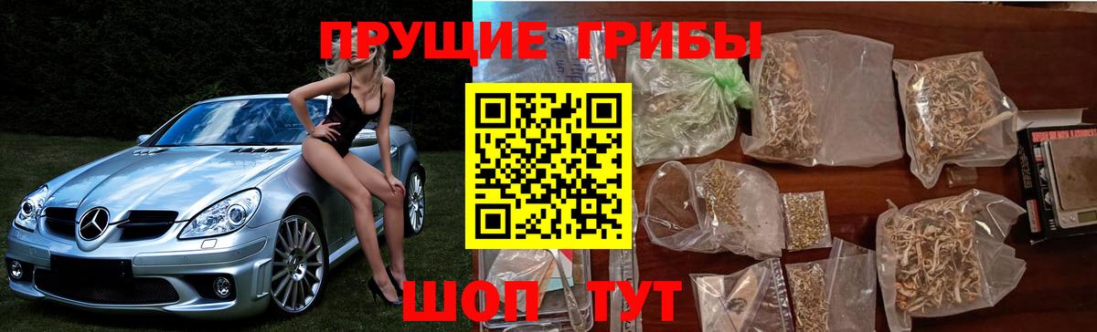 A-PVP Геленджик